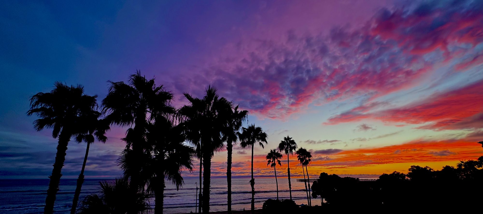 Palm trees silhouetted against a dusk sky over the ocean